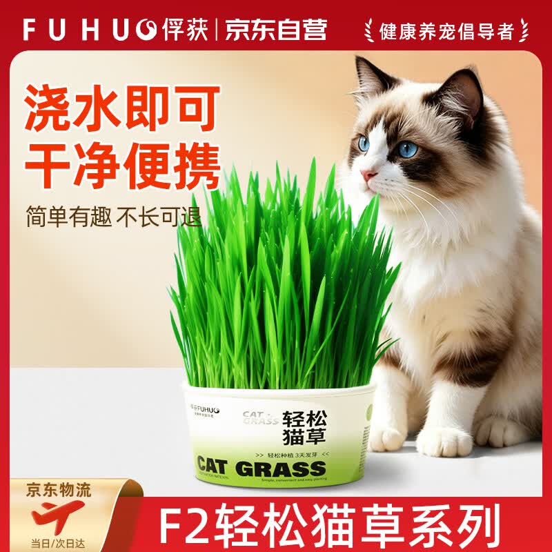 俘获F2轻松猫草盆栽猫咪懒人猫草助排小猫幼猫成猫毛球