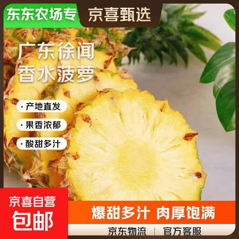 【东东农场专供】广东徐闻香水菠萝生鲜水果非凤梨精选大果 1个装【1.3-2斤】单果650g起