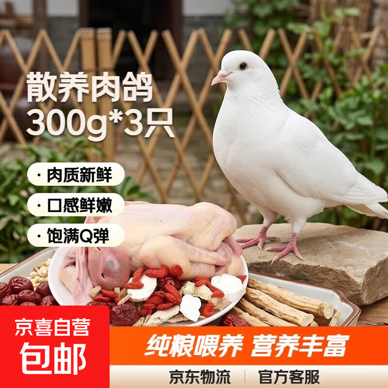 珍府客 乳鸽子(含内脏) 散养纯粮食喂养肉鸽老鸽 3只(单只300g)