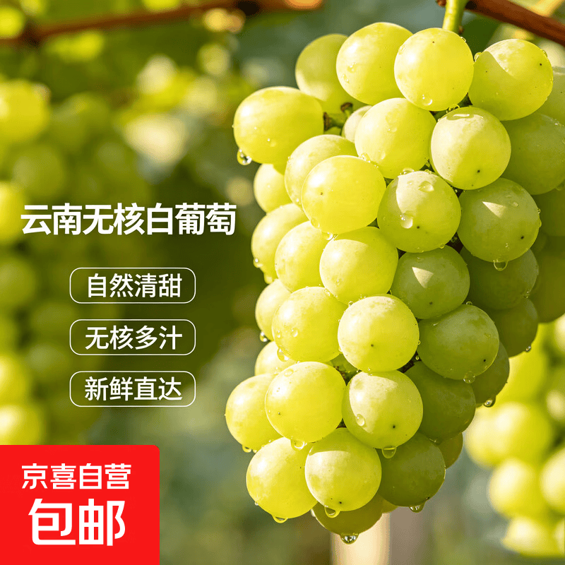 云南正宗无核白葡萄新鲜水果小蜜蜂葡萄甜地球孕妇青提无籽JD包邮 【超值装】带箱3斤（净重2.7斤）