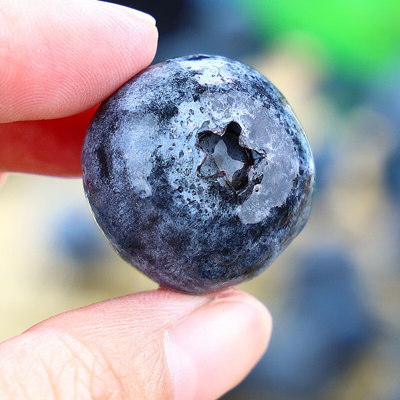 宗靖鲜云南花香蓝莓新鲜果【多地次日达】 孕妇应季国产水果礼品物盒 8盒装【单盒100-125g】 12mm+【尊选好果】