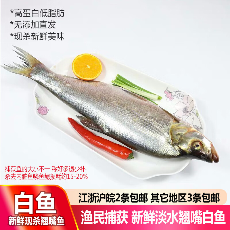 品鲜肴淡水鱼生态翘嘴鱼白鱼翘嘴鲌大白刁鱼自然捕获鲜活现杀生鲜水产  500g /条（宰杀后三去净重400g）