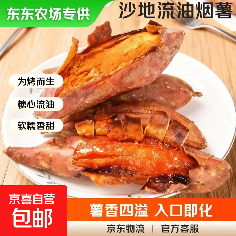 【东东农场专供】正宗烟薯25号糖心蜜薯生鲜超市直播间京东包邮 河北烟薯 4.5斤净重 单果3两起