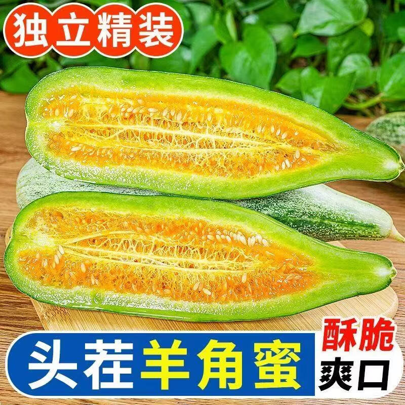 山东正宗羊角蜜5斤仅需23元！当季头茬脆甜瓜，单果250g起