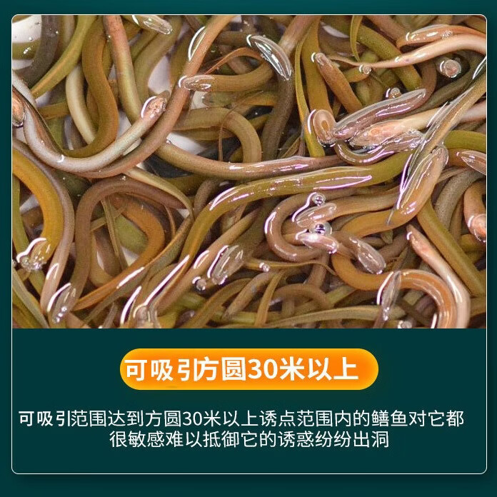 永辰抓黄鳝小药专用饲料龙虾笼诱食剂黄辣丁泥鳅鳝鱼饵料黄鳝诱饵神器 黄鳝饵料3200克 + 鳝鱼王2瓶