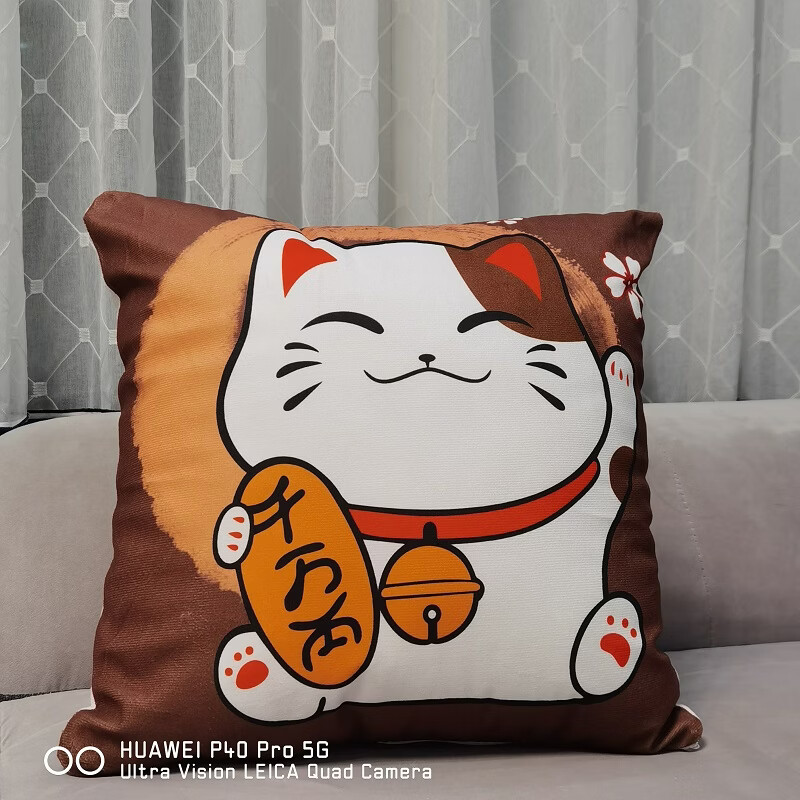 �ǿܿ�ͨӡ���׷��߻ص���������ɳ�����洲ͷ�������ϰ칫��������о ��ɫ�����BBX ���� Լ40*40CM/����֧װ�� 12.9Ԫ