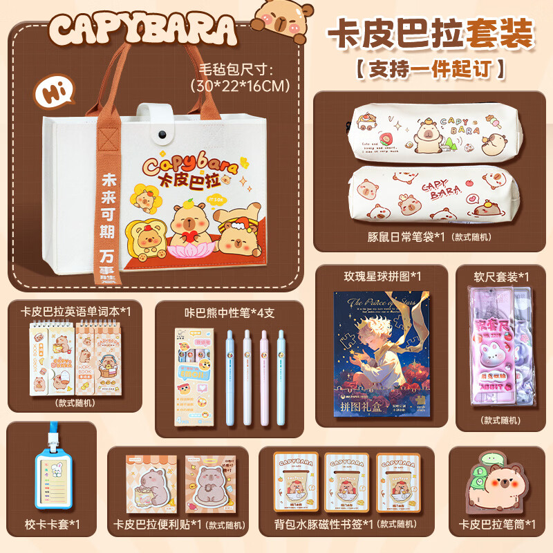 洧宜卡皮巴拉水豚文具礼盒 手账套装笔袋盲盒 学生开学六一儿童生日礼物伴手礼 帆布包定制