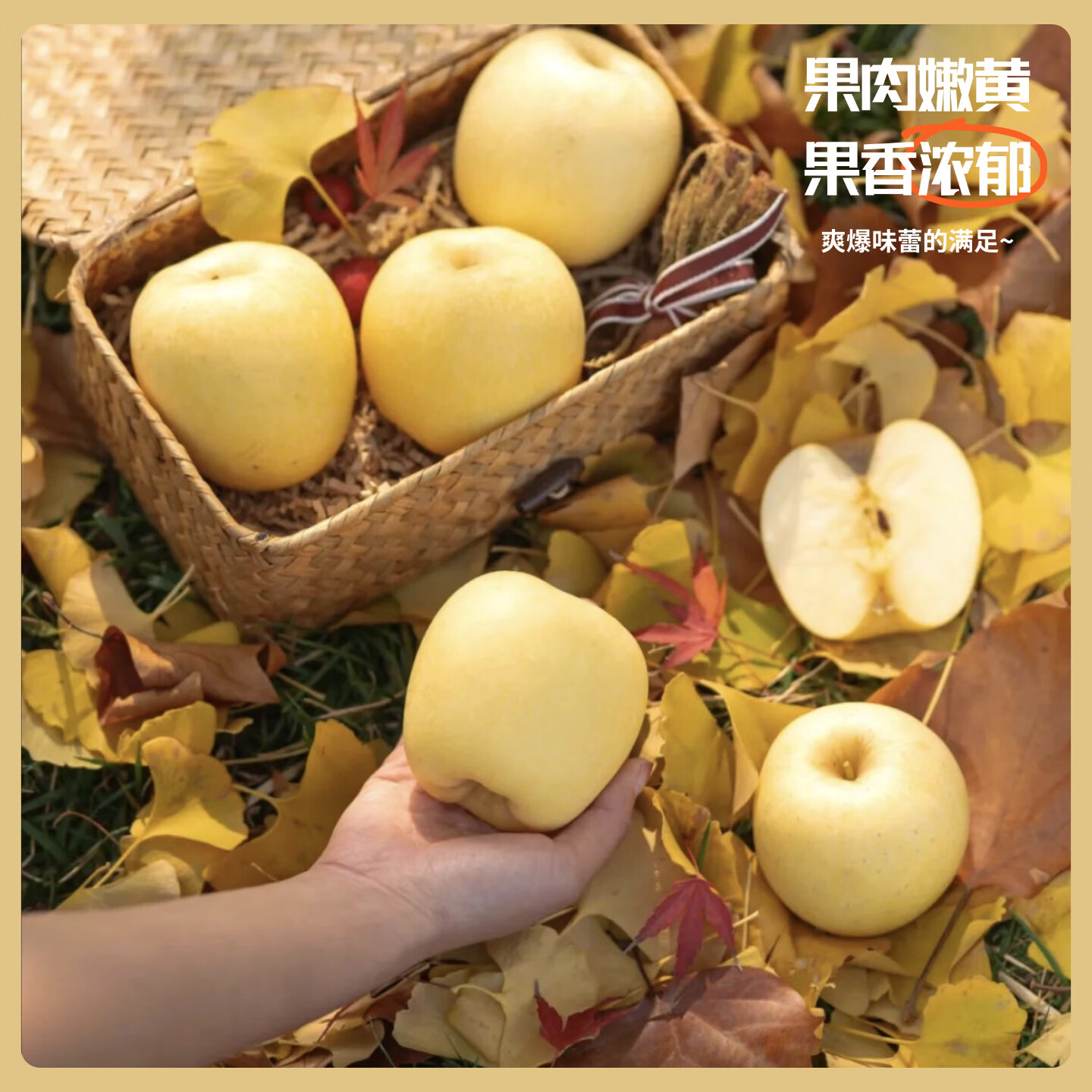 【山东特产】正宗维纳斯苹果应季甜蜜多汁水果金斑美人 4斤【金斑美人】10-12枚 果径75mm+｜净重4斤