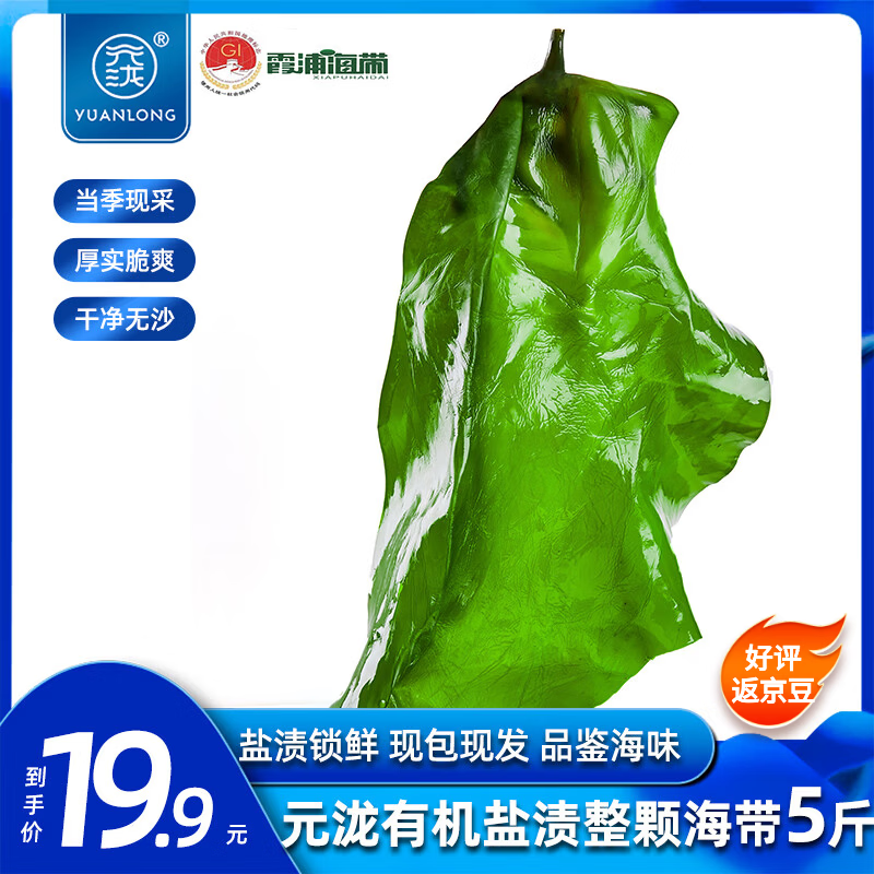 元泷 新鲜有机整颗海带5斤 霞浦地标盐渍厚海带 凉拌煲汤饭包源头直发