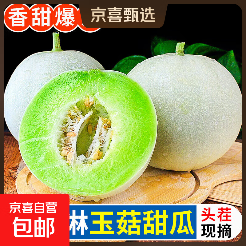 海南玉菇甜瓜冰淇淋现摘正宗新鲜水果整箱当季水果香瓜冰淇淋 【超值装】 5斤(净重4.7斤)