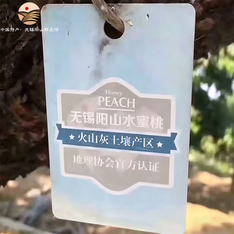 阳山水蜜桃 正宗无锡阳山水蜜桃 时令水果桃子 节日端午礼盒送礼 一级果4-5两12个礼盒净重4.8斤多