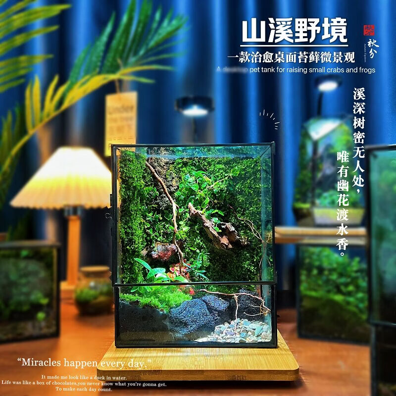 封茗苔藓微景观水陆盆景办公室桌搭树蛙养鱼蟹生态雨林缸室内绿植造景 树门精灵-做好发货+植物灯