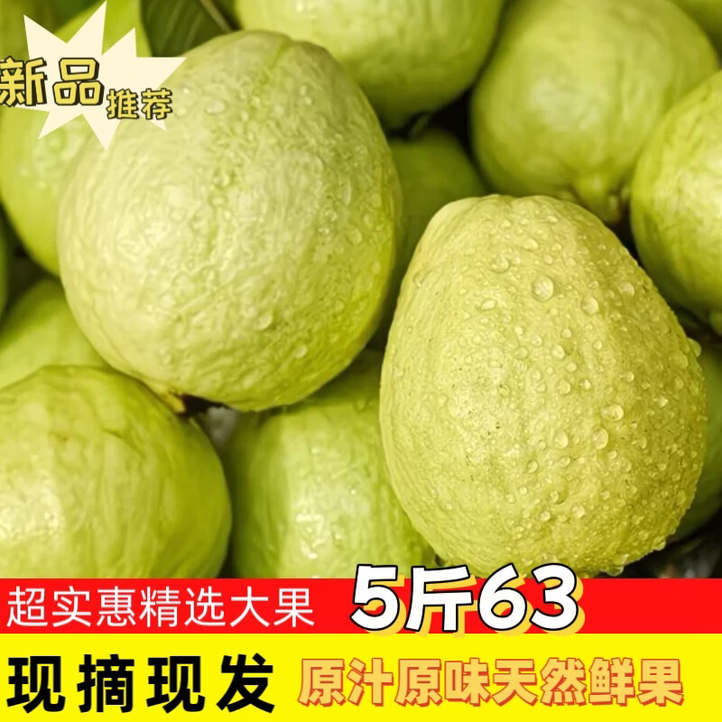 广西正宗红心芭乐番石榴软糯软心新鲜应季孕妇低糖类水果现摘现发 树上熟红心芭乐[精品3斤装]