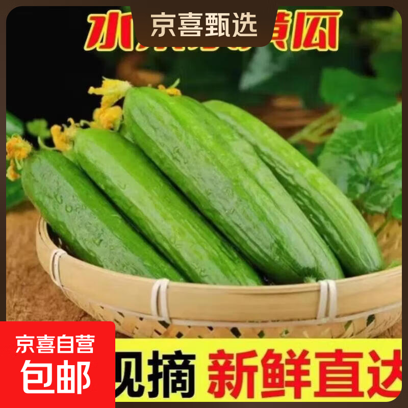 京喜加新鲜水果黄瓜现摘现发脆嫩多汁生吃无刺小黄瓜当季时令蔬菜 水果小黄瓜 1斤 带箱