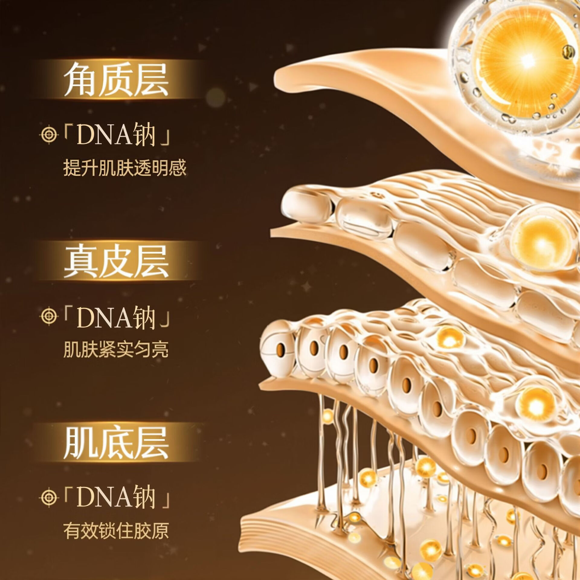 【优选】溶纹油面部精华油以油养肤护肤淡化油抗皱溶纹油 硕美博士溶纹油30ml