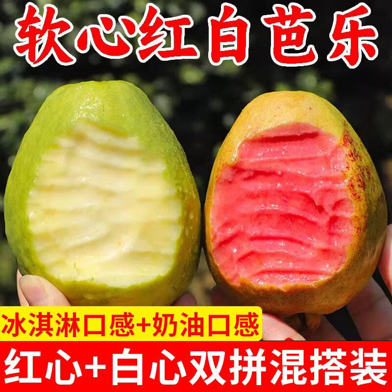 珍山辛农当季新鲜芭乐香糯软心低卡低热量轻食红白心双拼番石榴孕宝妈水果 白心奶油芭乐【产地推荐款】 5斤【家庭聚会款】