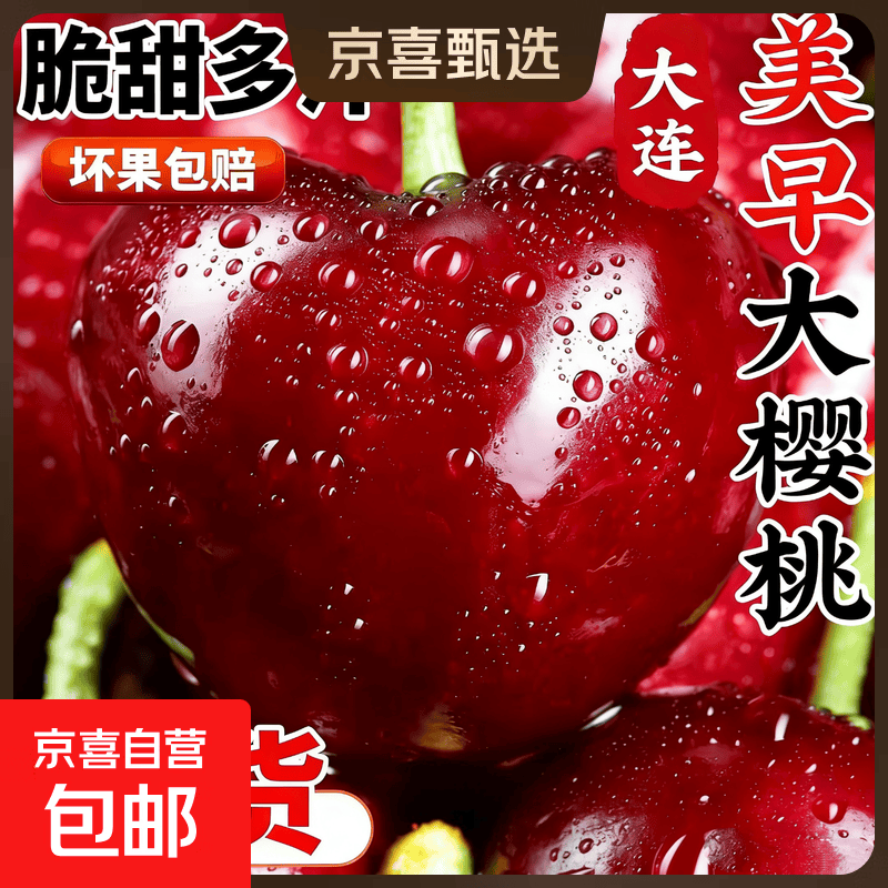 大连美早大樱桃樱桃新鲜水果现摘现发国产车厘子当季孕妇空运包邮 250g(净重) 尝鲜装 大果 J 单果26-28mm