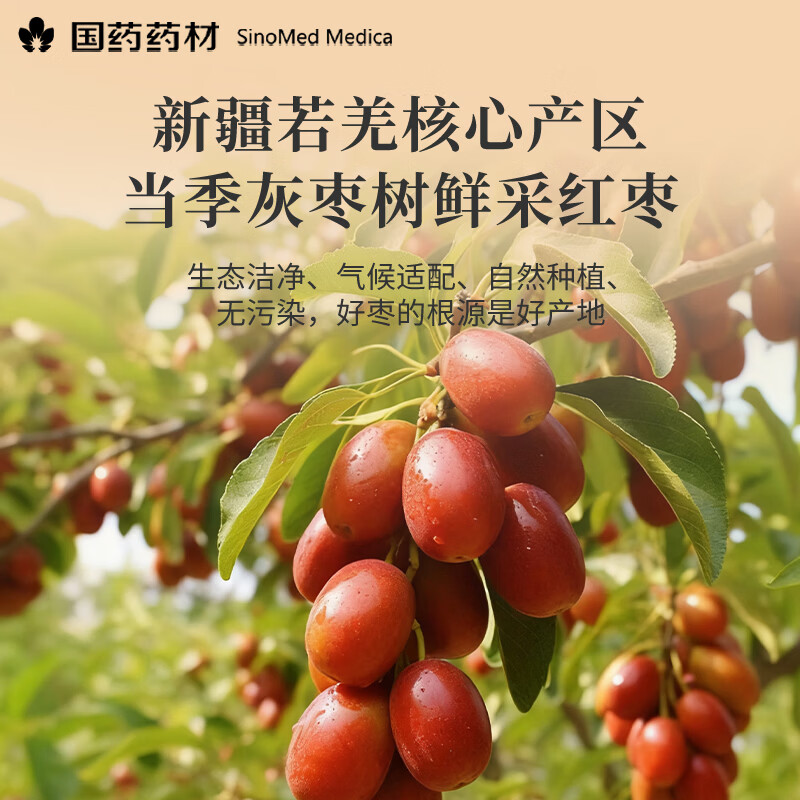 崇芝林国药药材红枣干新疆无核大枣去核红枣干免洗即食零食泡水煮粥200g 【无核即食】 200g*2罐 国药药材 只做道地好药材