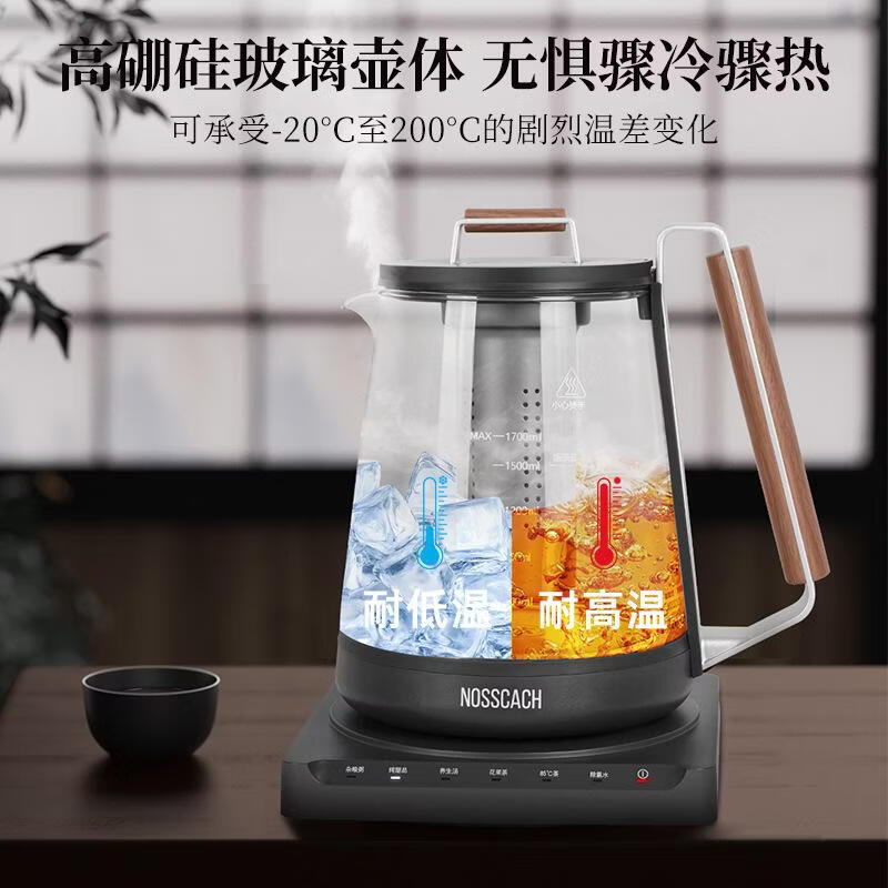 诺斯凯其（NOSSCACH）纯钛养生壶多功能恒温水壶炖煮烧水壶高硼硅玻璃电热水壶家用防烫健康除氯新款煮水壶 透明 1.7L 纯钛养生壶