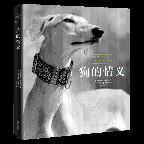 狗的情义 科普读物 (英)塔姆欣·皮克拉尔著 新星出版社 9787513332620
