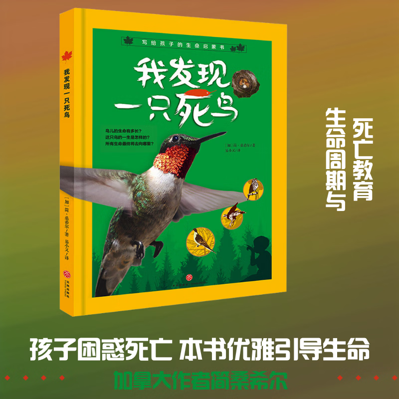 我发现一只死鸟 精装 学生科普读物 图书