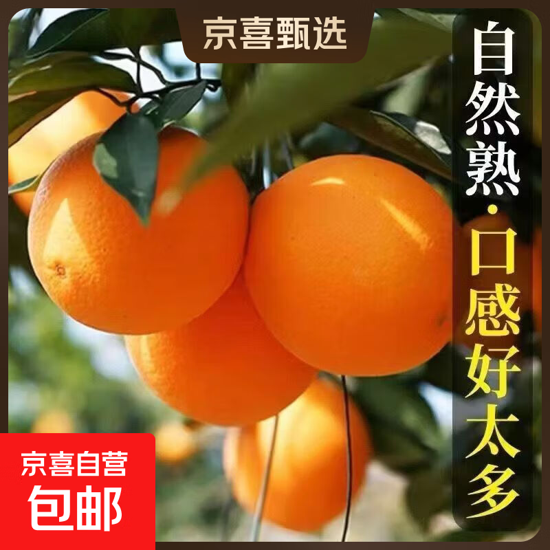 秭归脐橙当季产地直发橙子新鲜多汁整箱60-65mm 带箱5斤60-65mm彩箱