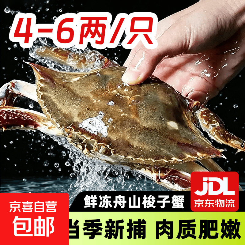 舟山梭子蟹新鲜冷冻特大野生活蟹冷冻海鲜螃蟹生鲜飞蟹白蟹肉蟹 4~6两/只 净重3斤【当季新货】