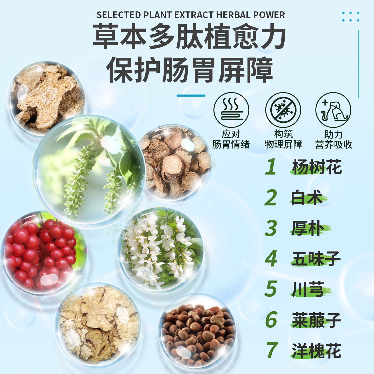 杜力德宠物肠炎宁狗狗猫咪肠粘膜损伤肠胃屏障弱犬营养滴剂 肠炎宁（养护肠粘膜） 50ml*1瓶
