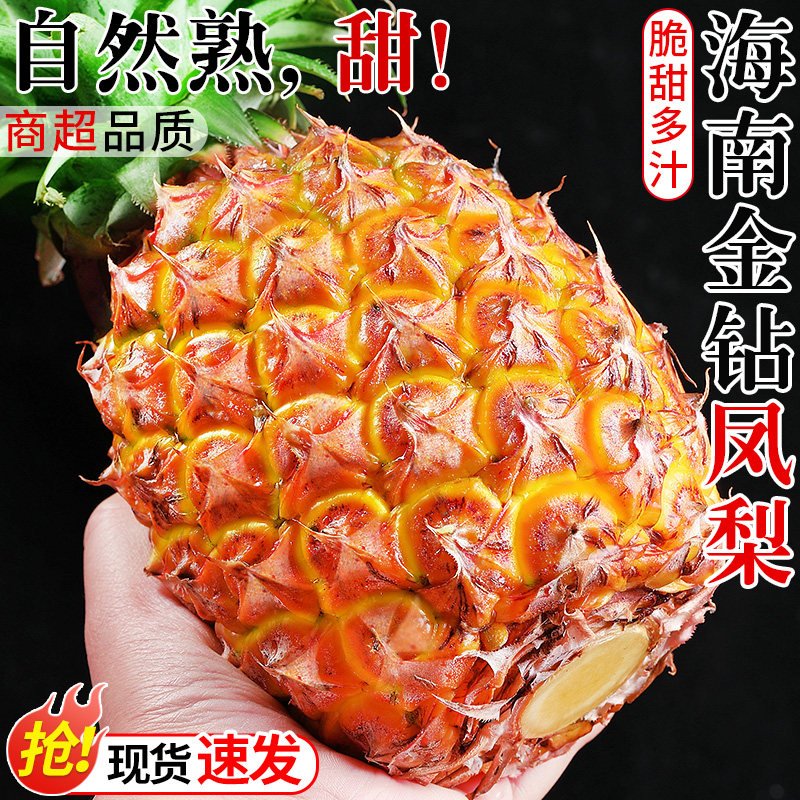 春福乐【海南直发】正宗海南金钻凤梨新鲜水果当季树上熟香水菠萝整箱 5斤优选装【单果400-500g】净重4.5斤