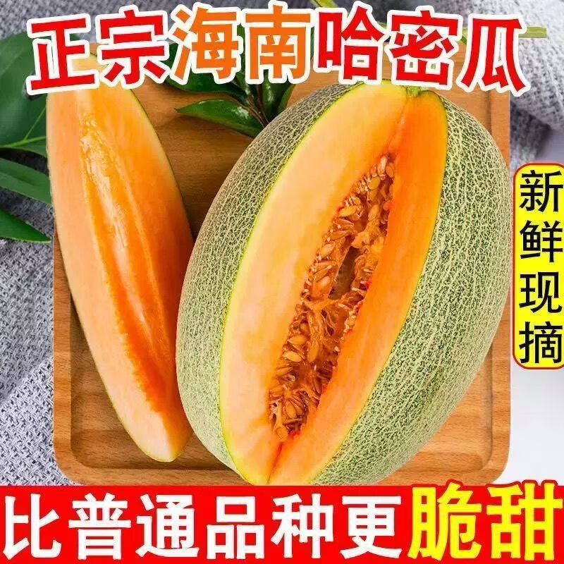 沐瑾正宗当季海南哈密瓜新鲜应季水果蜜瓜孕妇水果脆甜西州蜜包邮整箱 8.5-9斤3-5个