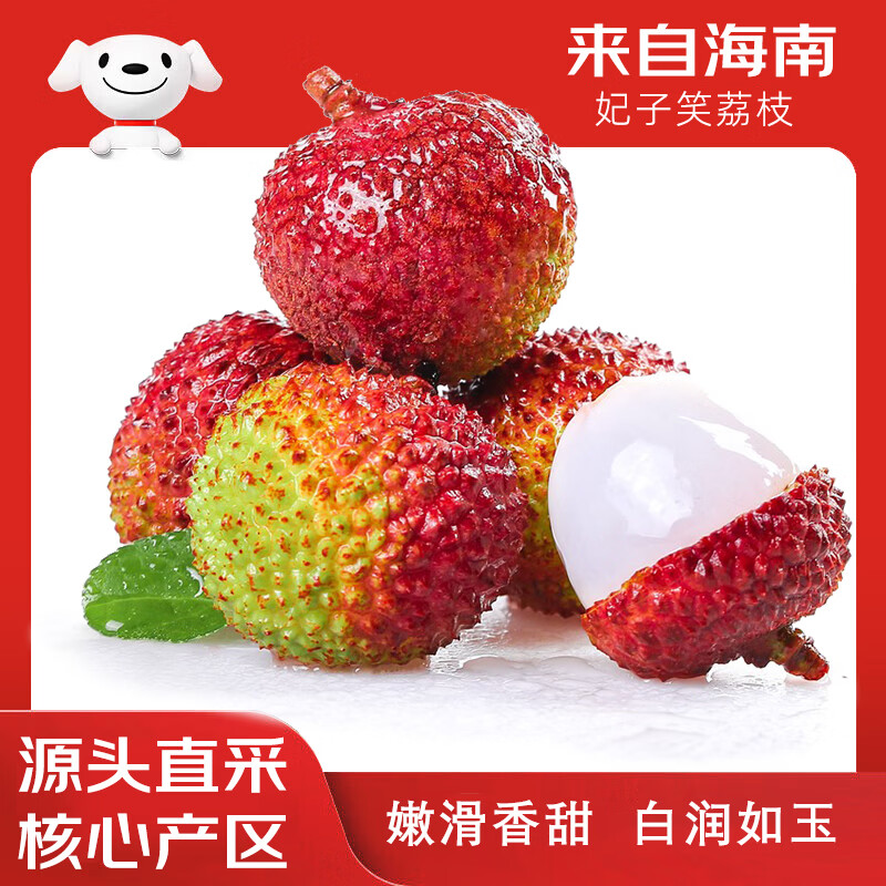 RONGXIAN妃子笑荔枝新鲜荔枝水果 5斤超划算丨25-30个头/斤 净重4.5斤  单果18g+