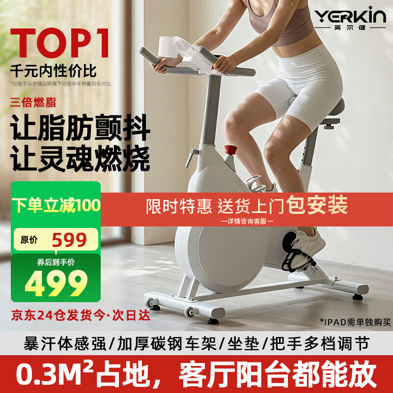 英尔健家用动感单车智能磁控静音运动减肥健身器材室内脚踏车健身单车 [标准款]物理阻力/AI体感/竞赛游戏/13斤全包飞轮组