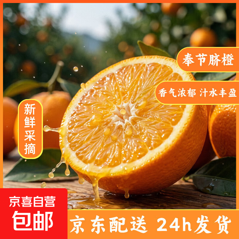 【东东农场专供】重庆纽荷尔奉节脐橙水果 带箱5斤65mm+普箱（净重4.5斤））