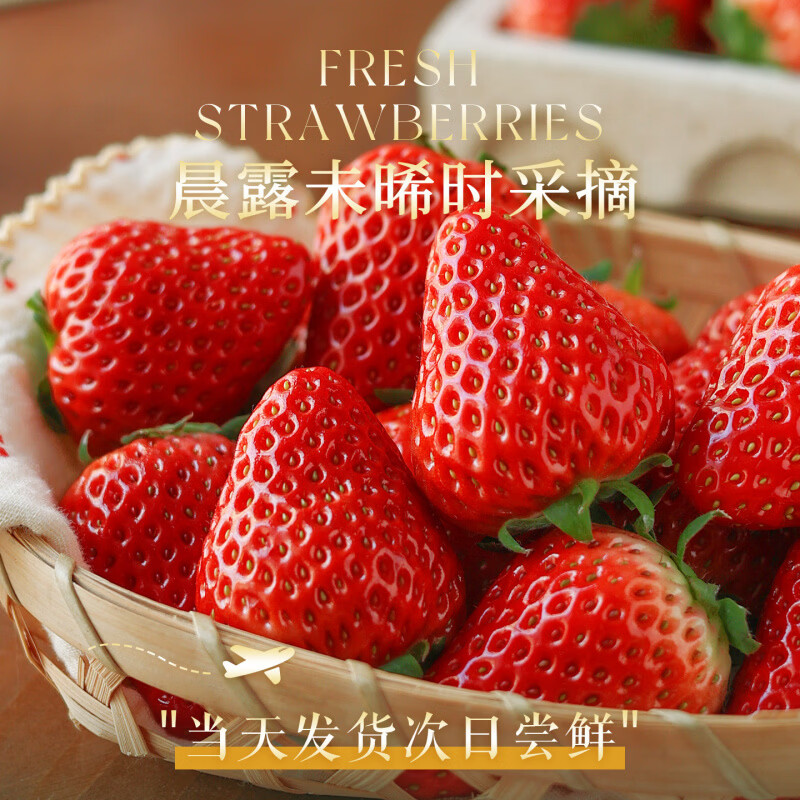 胖东来同款丹东99草莓新鲜水果应当季红颜奶油现货九九牛奶大整箱3 精选特大果(单果35g+) 当日发货 | 次日可达 1500g (净重1400g)