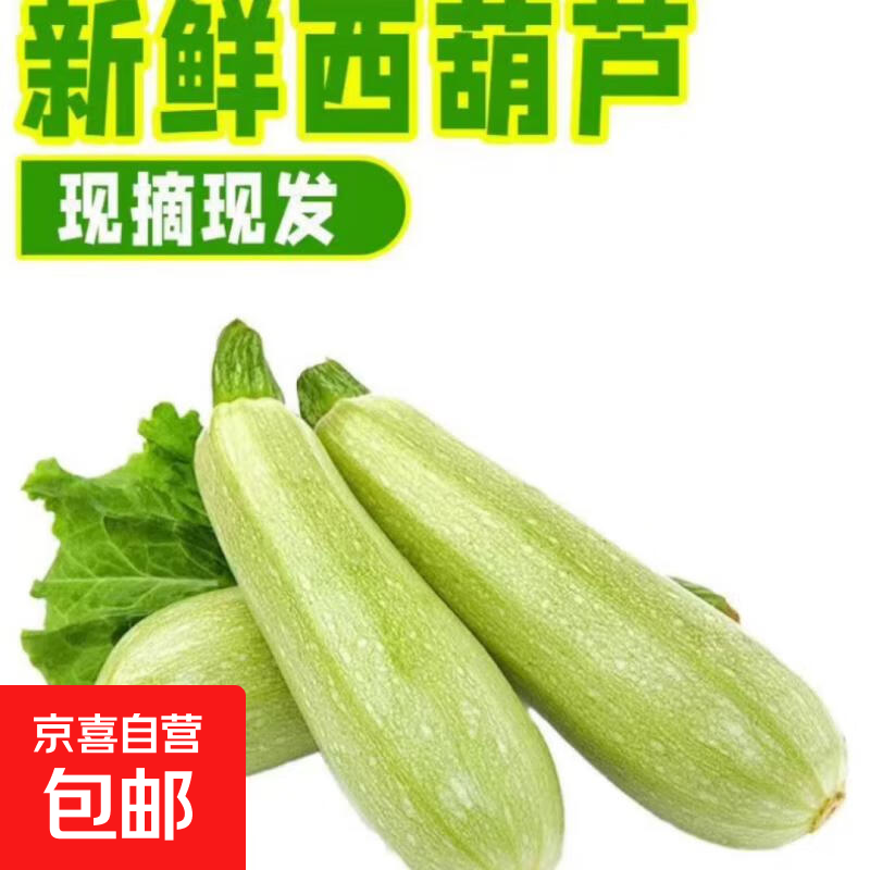 山东新鲜西葫芦三月瓜现摘现发 西葫芦 2斤 带箱
