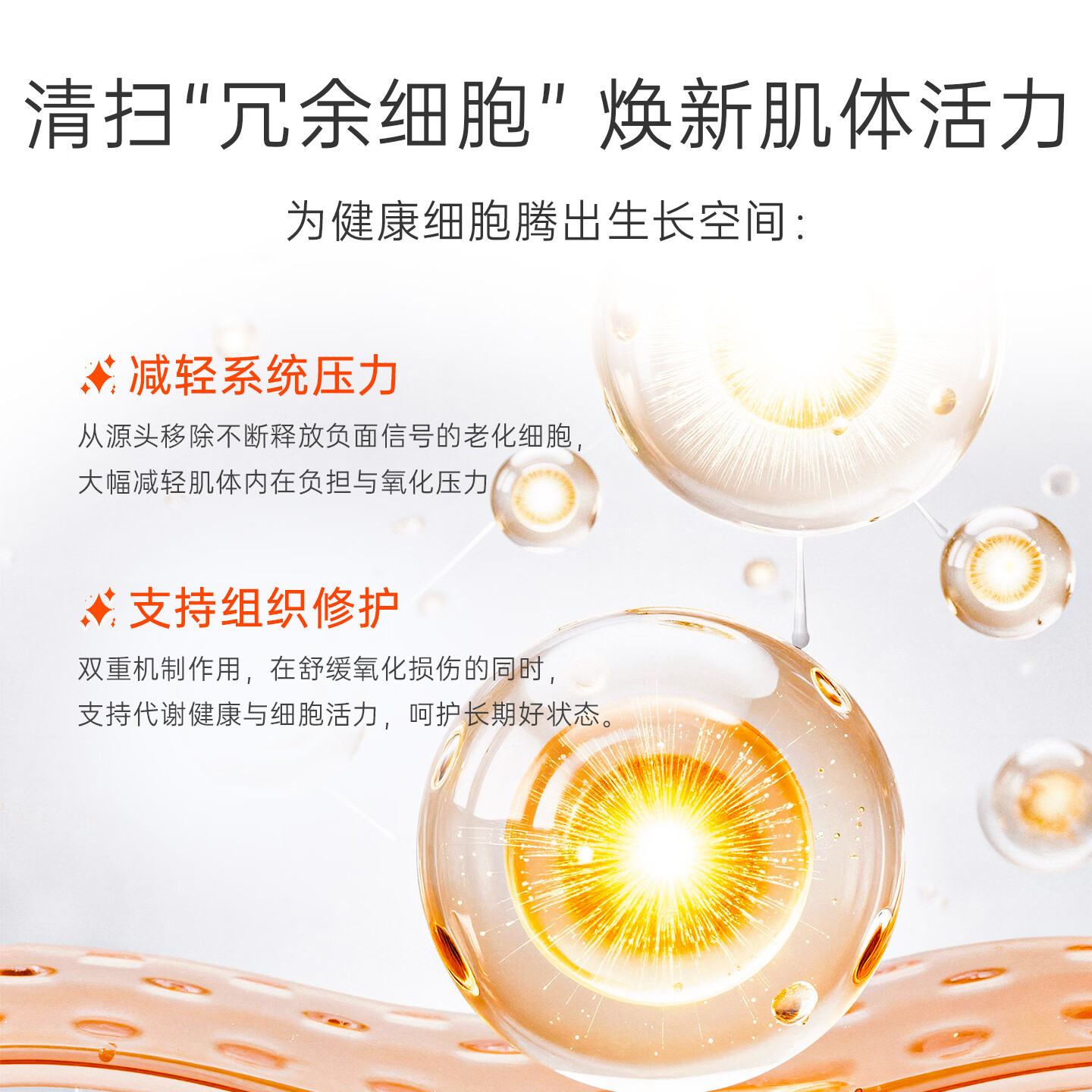 ARCWELL艾格維漆黄素胶囊99%高纯度强记忆抗衰抗氧化增强免疫促代谢进口 【老客优选|提升记忆力抗衰】 60粒*1瓶