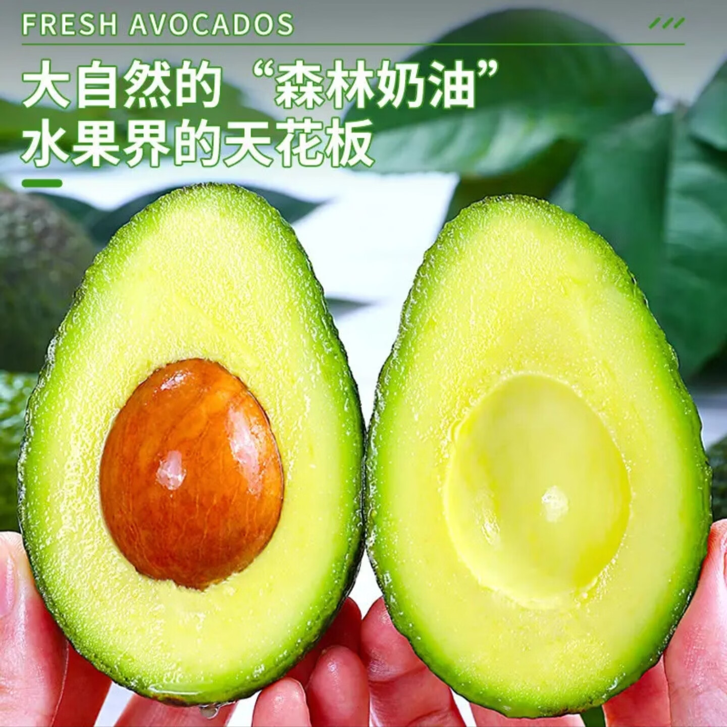 鲁禧海岸哈斯牛油果 新鲜水果 孕婴宝宝健康辅食 健身达人水果 鳄梨 4枚装 精品中果100g-130g【性价比高】