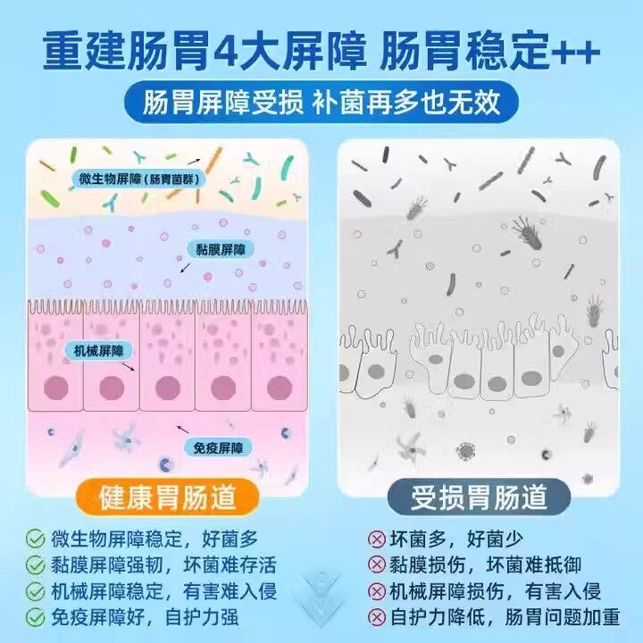 舒伯特（SCHUBERT）益生菌养胃粉进口成人胃部活性大人调理肠胃道 3盒【周期装】 90支*3盒