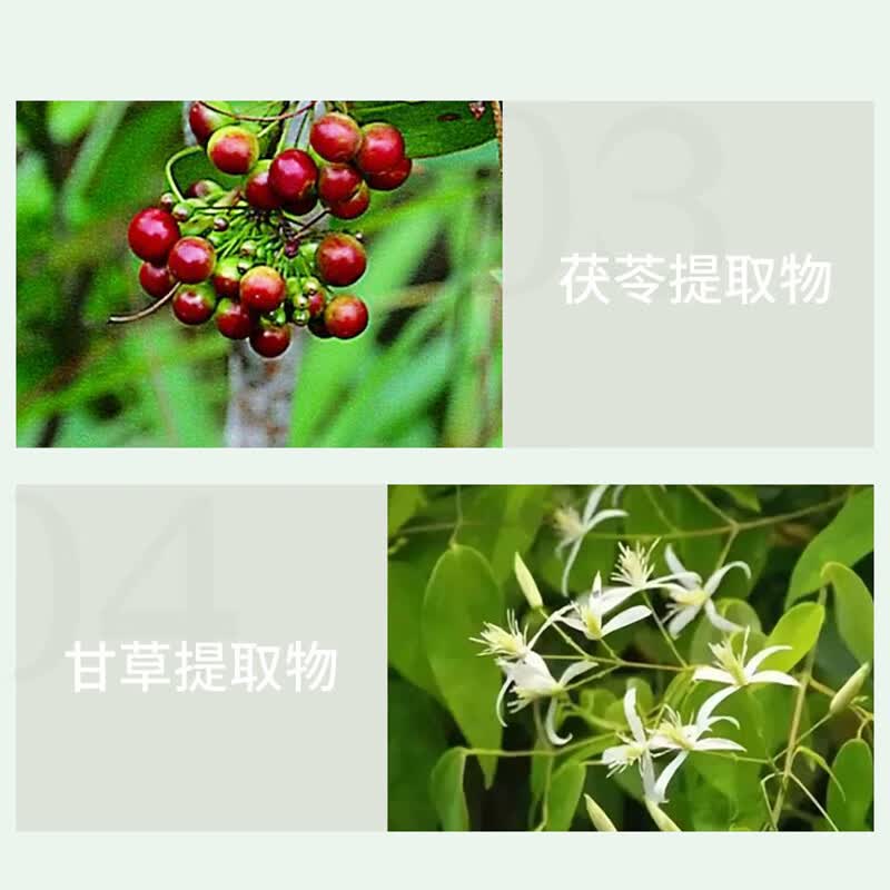冷酸灵成人牙膏4支装 清火抗敏牙膏套装 抗牙本质敏感清新口气 老牌国货 清火抗敏140g*2+清火益齿100g*1+抑菌斑100g*1 480g*1套