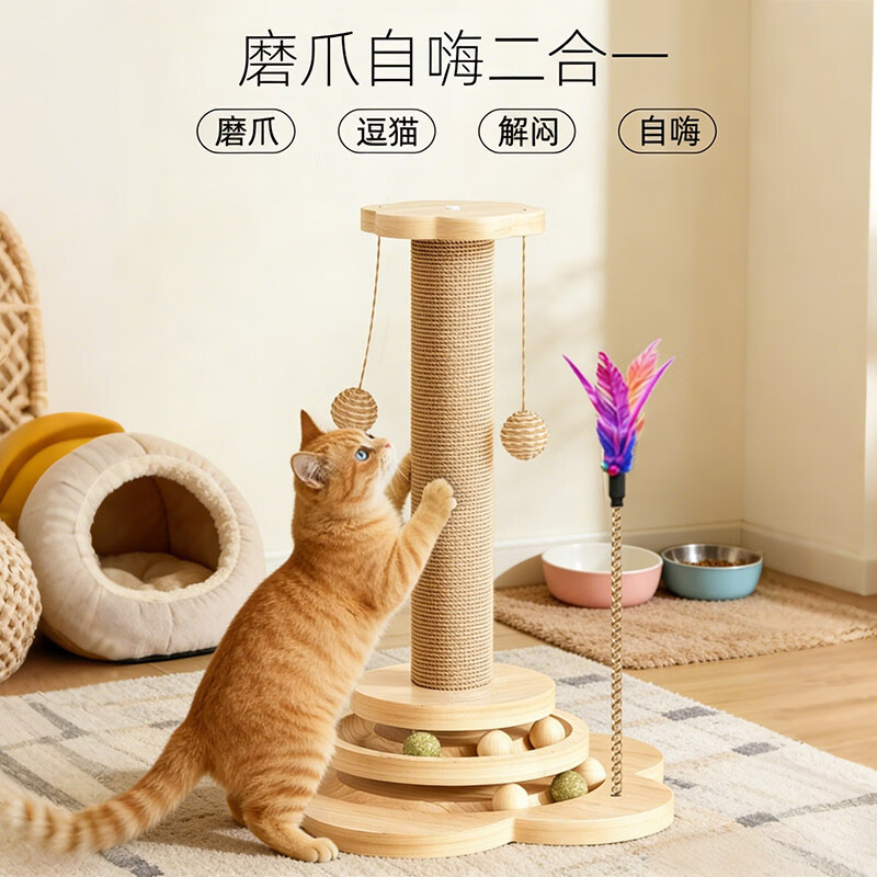 ������èץ�� ��ʽè����һ�� 46����ë����11.9Ԫ