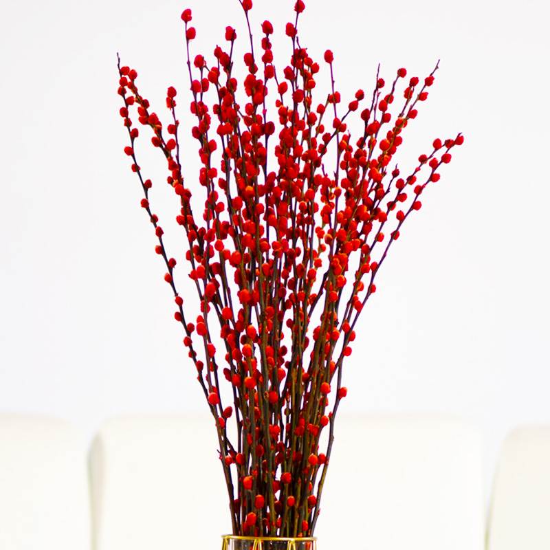 鲜枝红色年宵花装饰品干花花束客厅电视柜摆设新年 60cm红色银柳20支