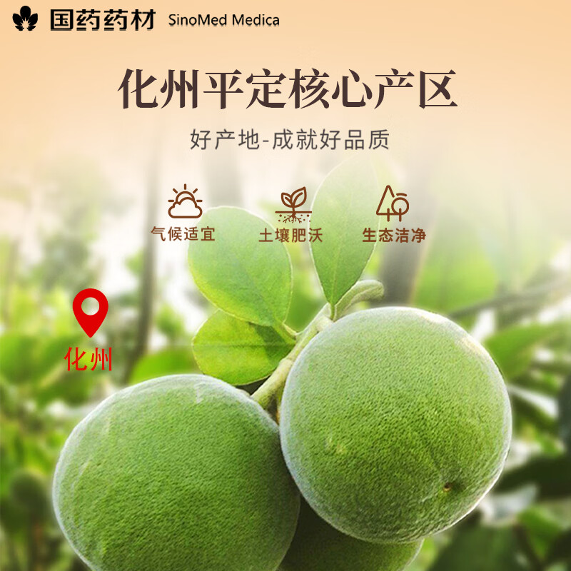 崇芝林国药药材15年化橘红正宗化州橘红金毛胎果片化州桔红痰咳 【化州橘红】 120g*1罐 国药药材 只做道地好药材