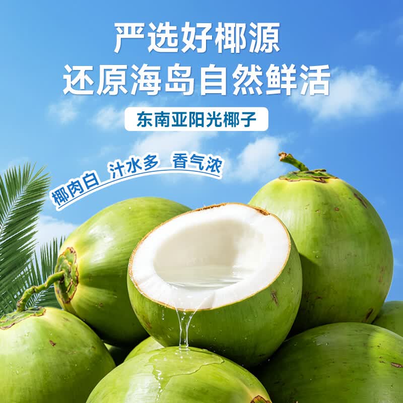轻上【免费试喝】100%白桦树汁天然原汁原液0添加饮料清甜回甘 100%椰子水245ml*10瓶