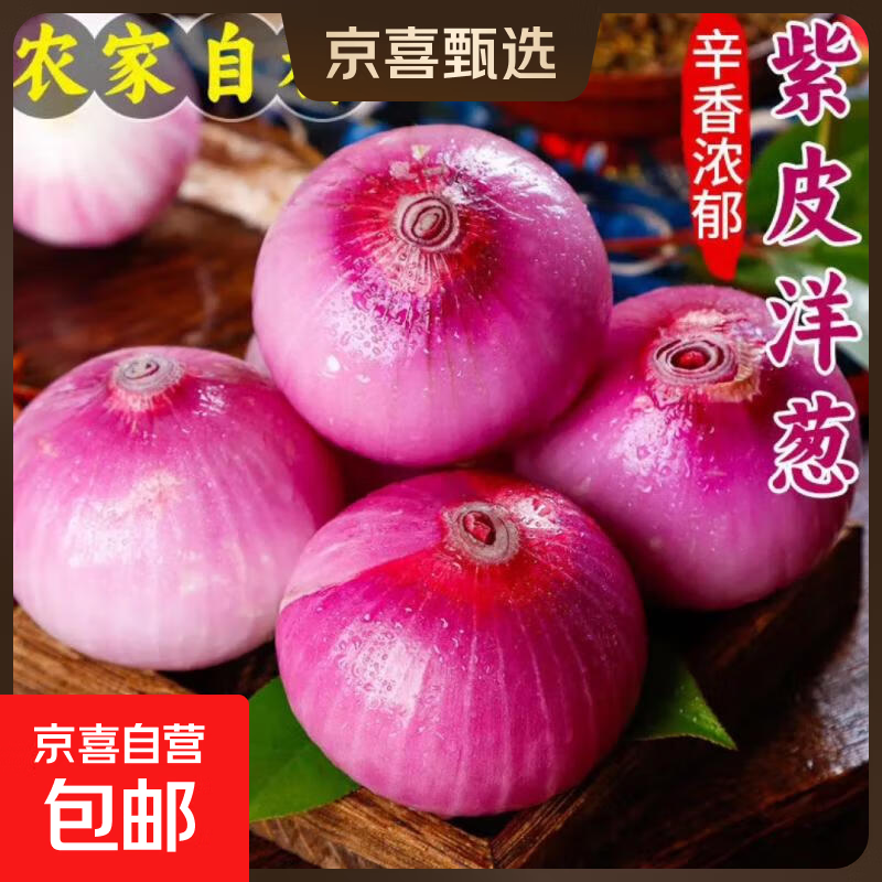 京喜加河南新鲜紫皮洋葱水果洋葱脆嫩葱头圆葱超市蔬菜生鲜调料即食凉拌 【专享】9斤毛重 8.5斤净重 单果200g+