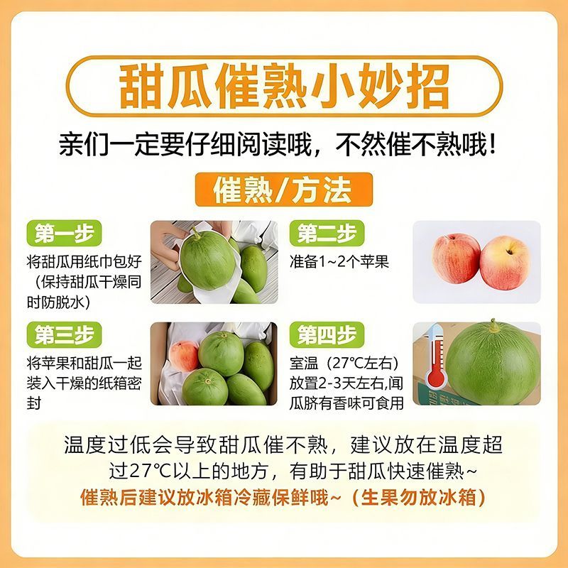 飘香果度山东头茬花蕾花美人甜瓜香甜多汁新鲜现摘 净重4.8斤中果【单果200g+】