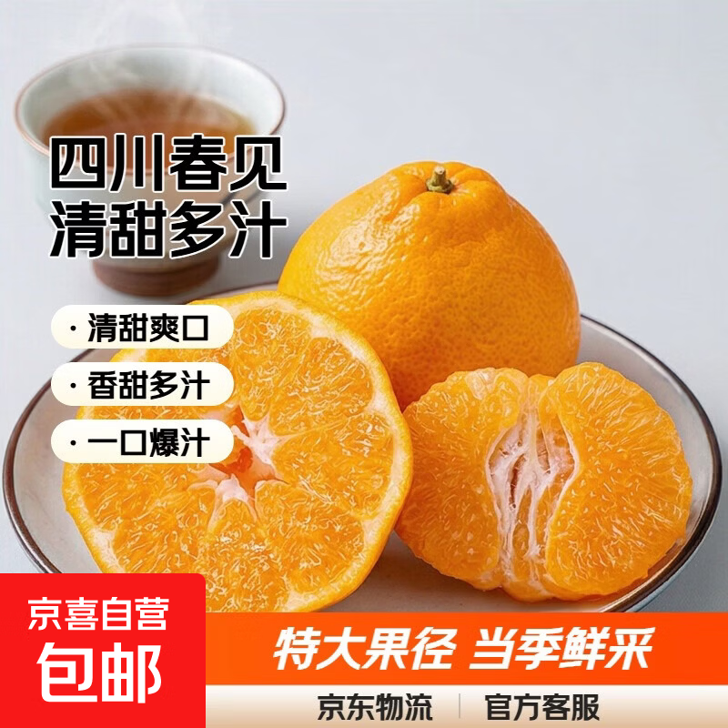 四川不知火丑柑香甜多汁清甜爽口当季耙耙柑橘子桔子 带箱5斤【净重4.5斤】特大果85mm+