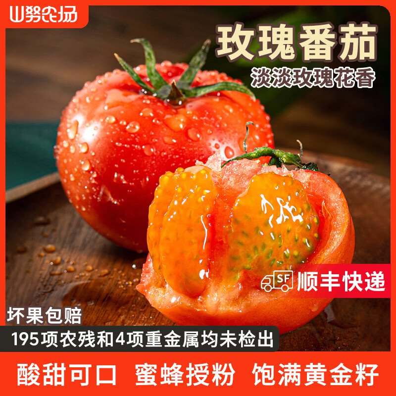 山努农场玫瑰番茄水果自然熟草莓西红柿多汁新鲜小柿子 玫瑰番茄中果 单颗50g+ 4斤