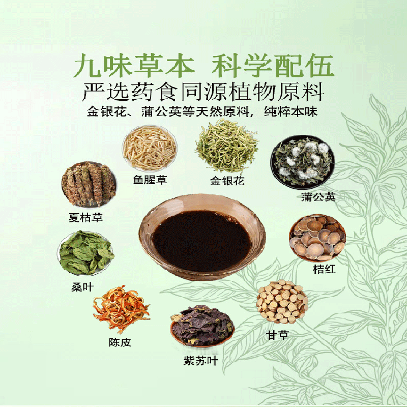 祺瑞园金银花浓缩液原广东凉茶饮可搭去火清热解毒降下火茶熬夜养生茶包 [5盒全家共享】 10g*40袋 30天清润更划算 精选药食同源植物
