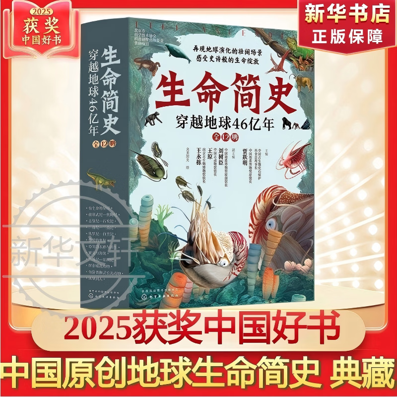 【25年中国好书】DK时间线 图解万物简史 生命简史穿越地球46亿年 时间线上的百科历史宇宙世界大爆炸关税贸易工业革命 数字时代文明工具战争 儿童百科全书 中小学生课外阅读推荐 【25中国好书】生命简