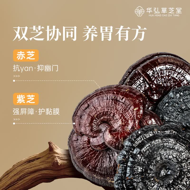 华弘草芝堂灵芝薏仁粉 早餐食品上班族冲泡即食 养胃健脾祛湿 养生营养品 【长期巩固优选】6罐(提前加购入会有礼)